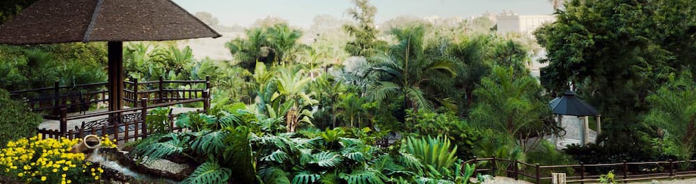 Botanical garden Molino de Inca